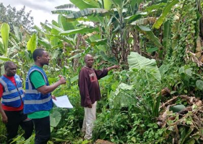 Two UNIMAC field officers taking notes while an elderly man shows them his farm among banana and cocoyam plants
