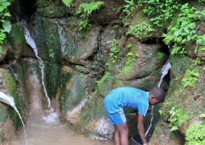 A young person filling a bucket at an open spring flowing from a rocky, fern-covered hillside